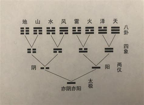 动爻怎么看|最全的六爻动爻知识详解